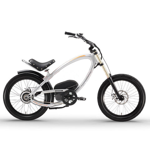 24" Beach Fat Tire Ebike - WiredWheelz