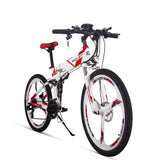 RichBit New 36V*250W Electric Bike Mountain - WiredWheelz