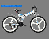 350W Mountain Ebike - WiredWheelz